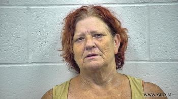 Sherri Louise Hudson Mugshot