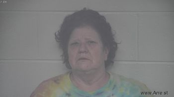 Sherri  Hudson Mugshot