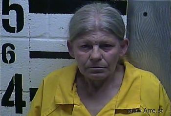 Sherry Lynn Collins Mugshot