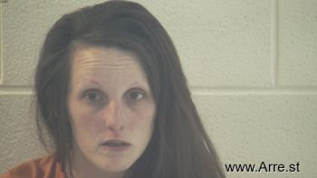 Sherry Lynn Davis Mugshot