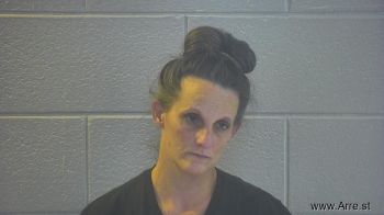 Sherry Lynn Davis Mugshot