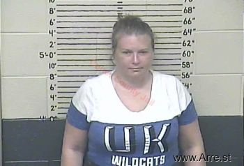 Sherry L Johnson Mugshot