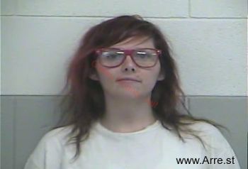 Sherry D Johnston Mugshot