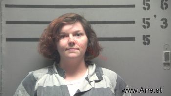 Sherry Diane Johnston Mugshot