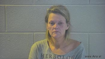 Shonda Elizabeth Johnson Mugshot