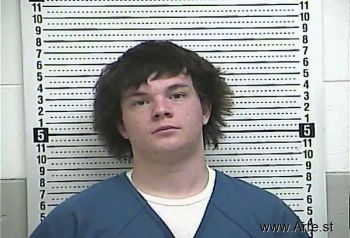 Skyler L Brown Mugshot