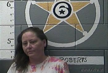 Sondra Lee Stamper Mugshot