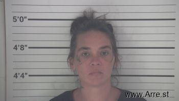 Stacey Michelle Slade Mugshot