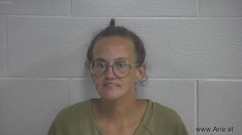 Stacy L Alsip Mugshot