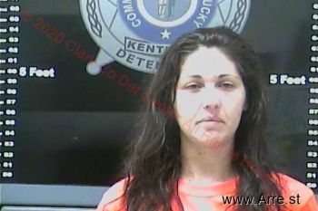 Stacy Lynn Johnson Mugshot