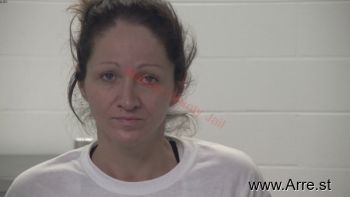 Stacy Lynn Smith Mugshot