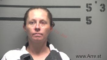 Stephanie Lynn Barnett Mugshot