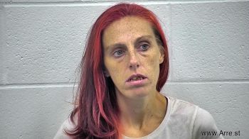 Stephanie Lee Bell Mugshot