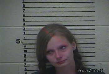 Stephanie K Chapman Mugshot