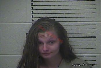 Stephanie K Chapman Mugshot