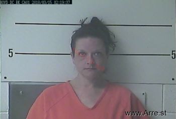 Stephanie Jo Collins Mugshot