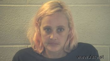 Stephanie Lynn Cramer Mugshot