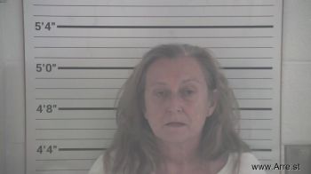 Stephanie Lane Fields Mugshot