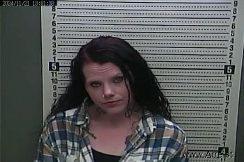 Stephanie  Holbrook Mugshot