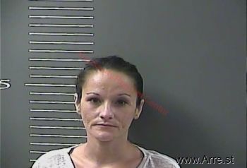 Stephanie Ann Howell Mugshot