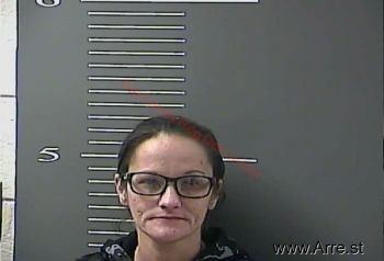 Stephanie Ann Howell Mugshot