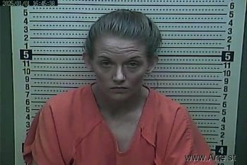 Stephanie  Johnson Mugshot