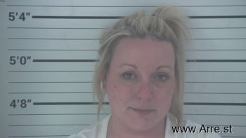 Stephanie Jo Price Mugshot