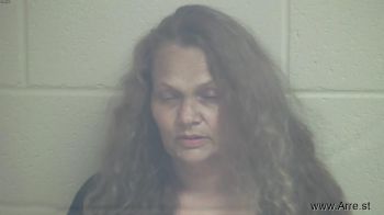 Stephanie Ann Reed-neise Mugshot