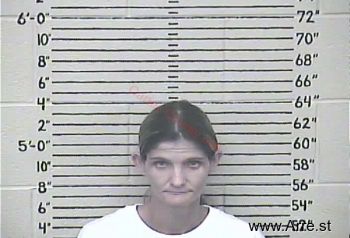 Stephanie D. Vannatter Mugshot