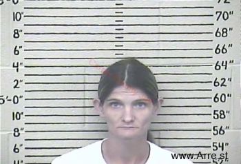 Stephanie D. Vannatter Mugshot