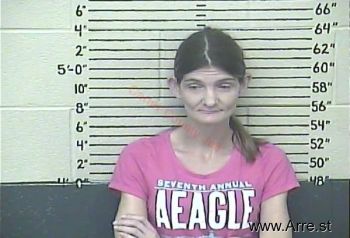 Stephanie D. Vannatter Mugshot