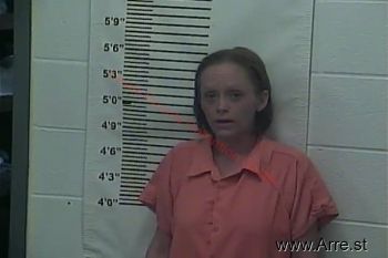 Stephanie H Webb Mugshot