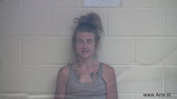 Stephanie Lynn Wolfe Mugshot