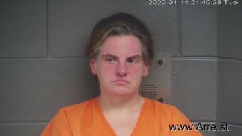 Stevie Ann Wilburn Mugshot