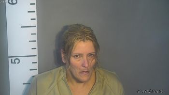 Susan Michelle Browning Mugshot