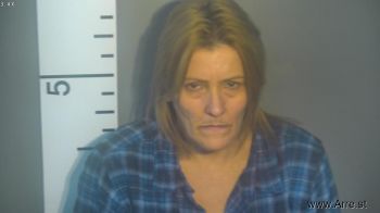 Susan Michelle Browning Mugshot