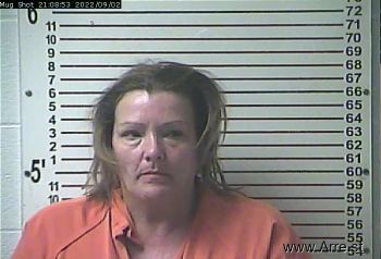 Susan Michelle Browning Mugshot