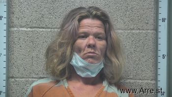 Susan Renee Jones Mugshot