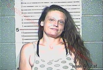 Susan Annette Larson Mugshot