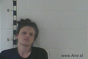 Susan Pardi Larson Mugshot