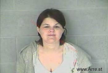 Susan  Lewis Mugshot