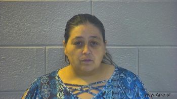 Susan Ann Martinez Mugshot