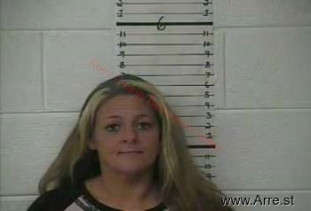 Susan  Powell Mugshot