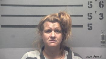 Susan Jean Wilson Mugshot