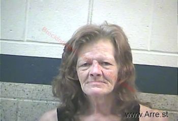 Susanna Marie Adkins Mugshot