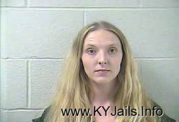 Samantha Nicole Drake   Mugshot