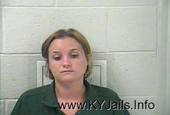 Sara Kaye Towery   Mugshot