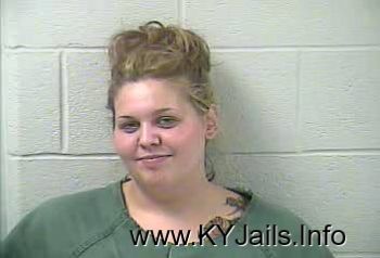 Sara Michal Mcgehee   Mugshot