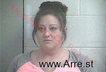 Sarah Nicole Palmer Mugshot