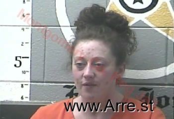 Sarah Nicole Palmer Mugshot